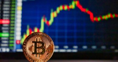 Bitcoin Recovers to $101,000 After Sharp Drop