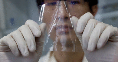 Japanese Create Eco-Friendly Plastic That Quickly Dissolves in Salt Water