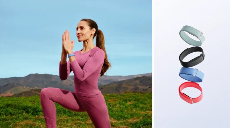 Google Unveils $100 Screenless Fitness Tracker