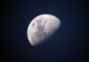 Scientists Discovered That Microbes From Earth Can Survive On The Moon