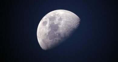 Scientists Discovered That Microbes From Earth Can Survive On The Moon