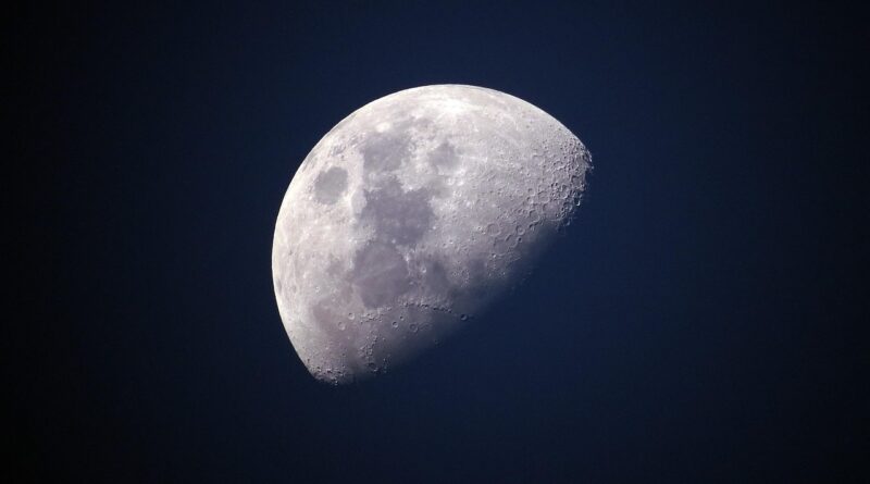 Scientists Discovered That Microbes From Earth Can Survive On The Moon