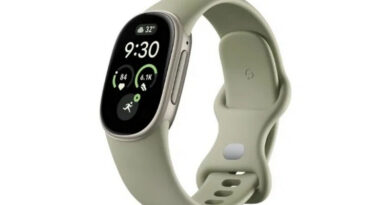 Google Introduces Fitbit Edge