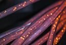 Light Meets Sound in Optical Fiber: A New Step Toward Quantum Computing