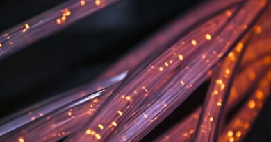 Light Meets Sound in Optical Fiber: A New Step Toward Quantum Computing